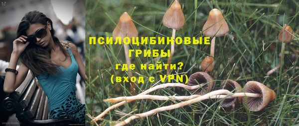 прущие крисы Армянск