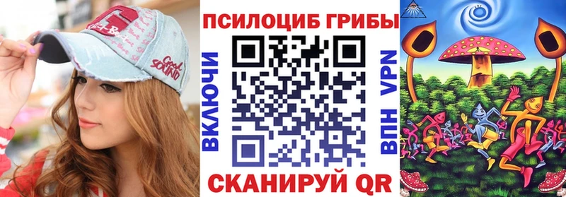 Псилоцибиновые грибы Cubensis  как найти наркотики  Краснодар 